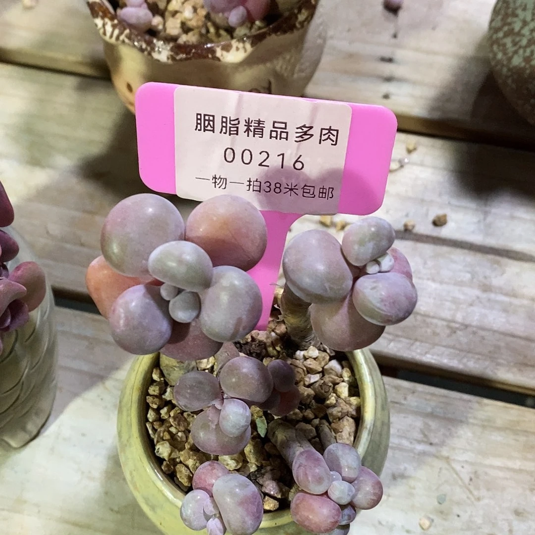 H***璐00216咯图却哦我小雨