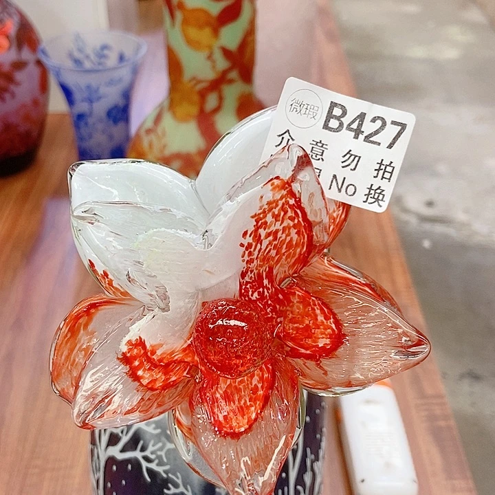 用***5琉璃花高度45厘米9厘米