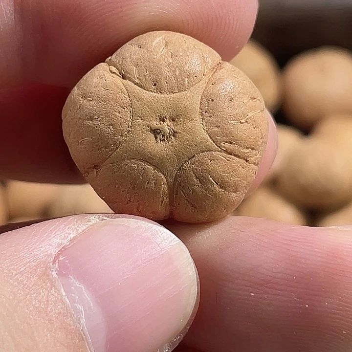 吊坠凤眼菩提尼泊尔小凤眼