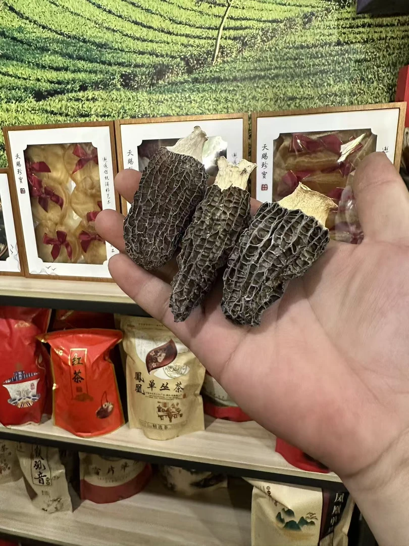 7-10大粒头期羊肚菌炖汤煮汤非常得好