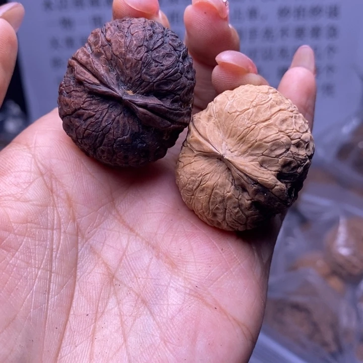 核桃云南野生铁核桃175号35mm