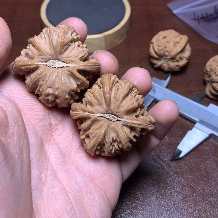 把件文玩核桃西**人白狮子