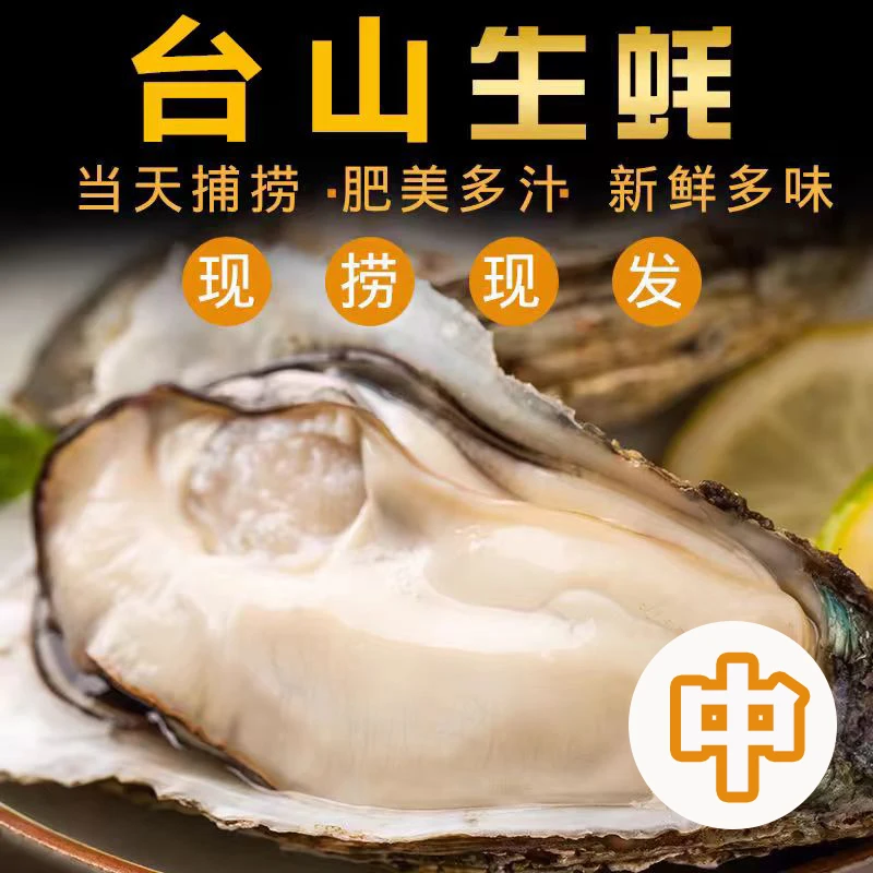 【台山中大蚝】台山白玉生蚝 鲜甜脆口 现开生蚝净肉 16-22只1斤1罐生蚝