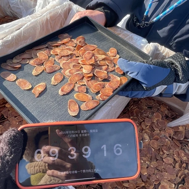 【小谢严选】长白山溯源-红参片 整支切片