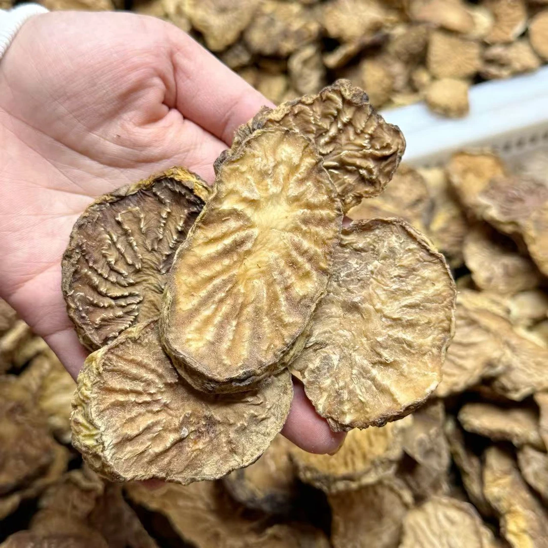 内蒙古阿拉善荒漠肉苁蓉鲜切片自然风干可用于泡酒泡茶炖汤泡水