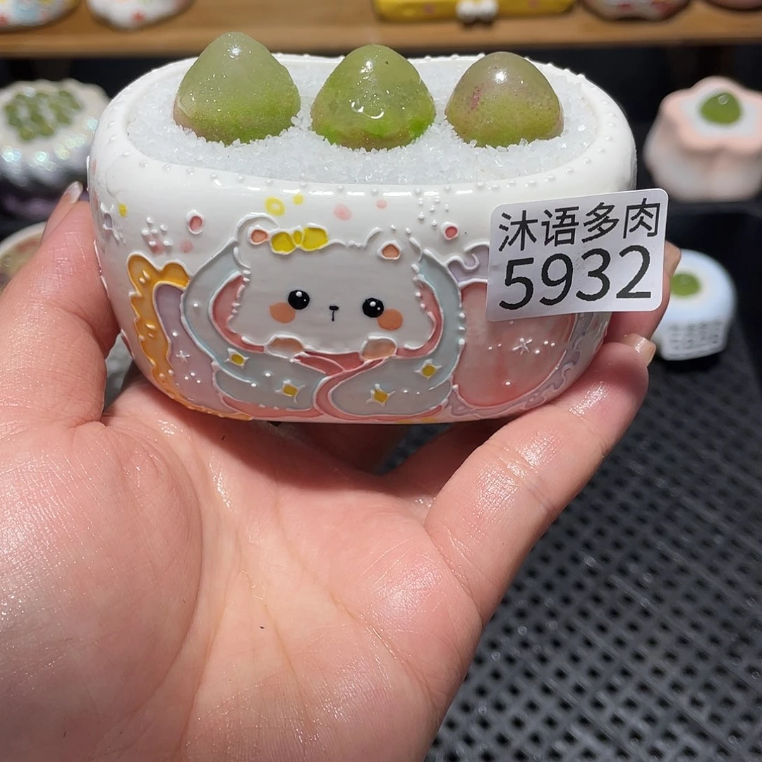 我***的带盆土植物 一物一拍5932