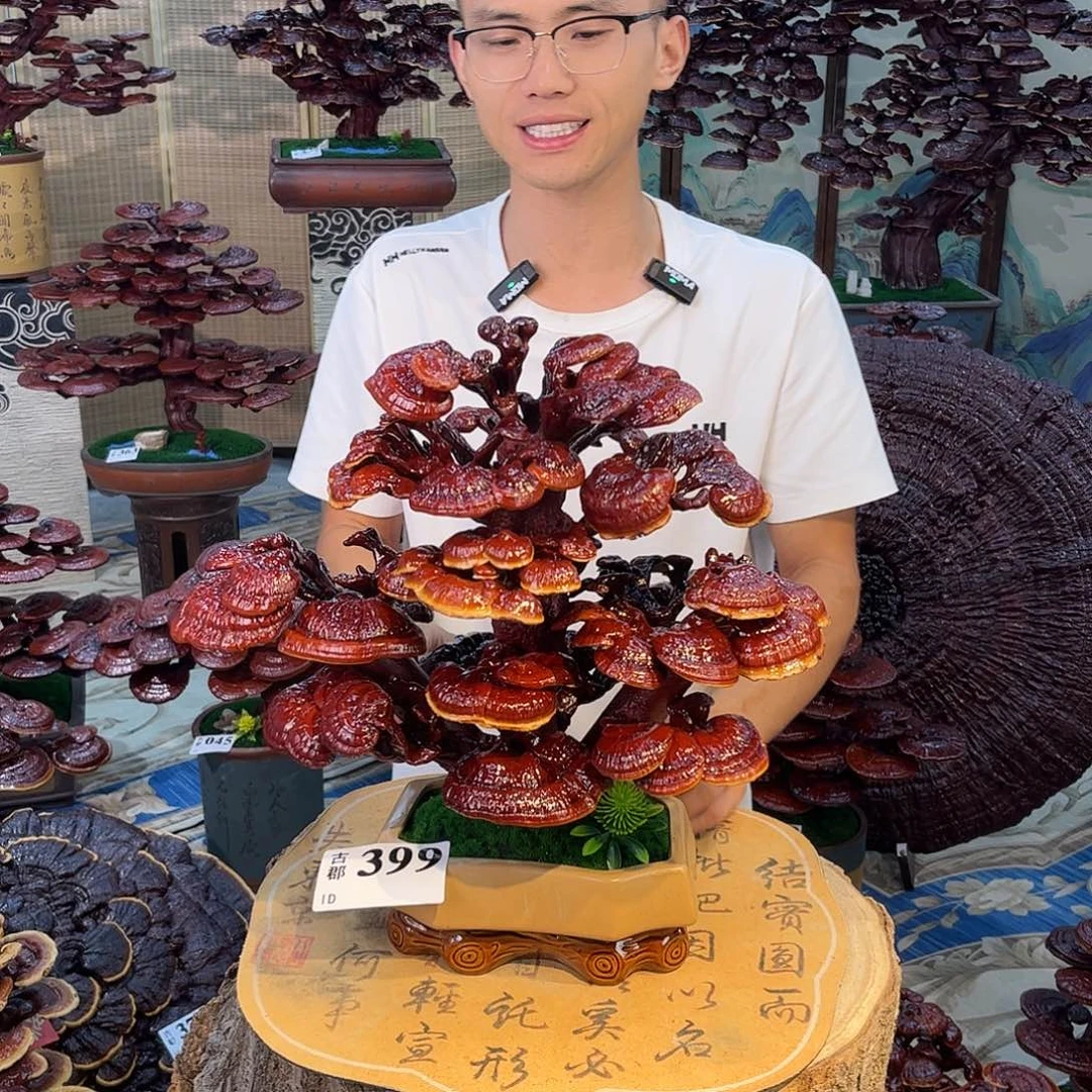 无花朵8888888888888888888888
