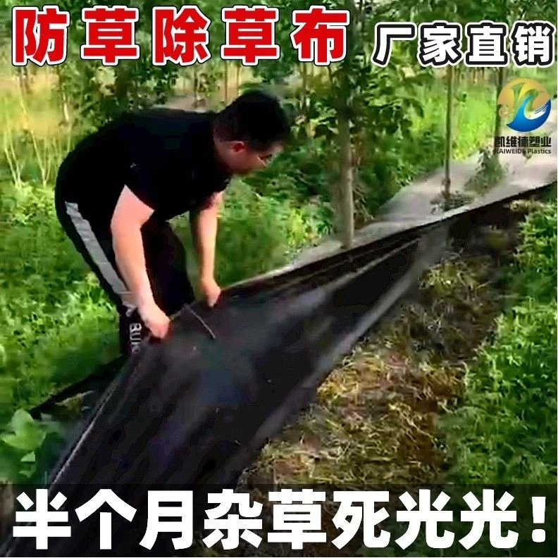 防草布果园果树除草布地布打孔切片除草布透气透水盖草抑草布加厚