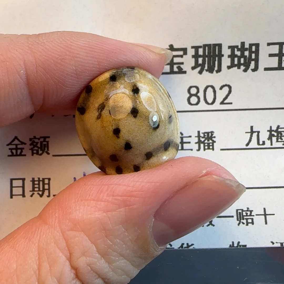 硅化珊瑚（珊瑚玉）未镶嵌吊坠(不含链)