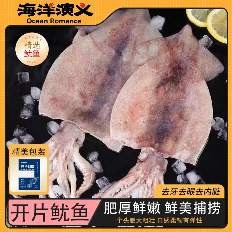 海洋演义 开片鱿鱼 100g/包*10包