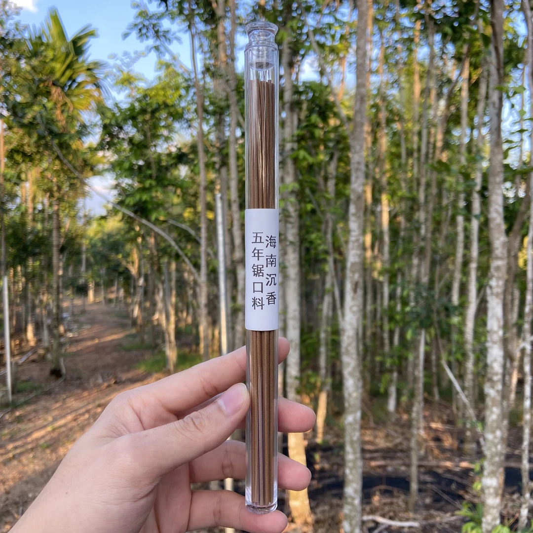 【海南五年锯口料】沉香线香10克装 醇化三年以上 家用品香