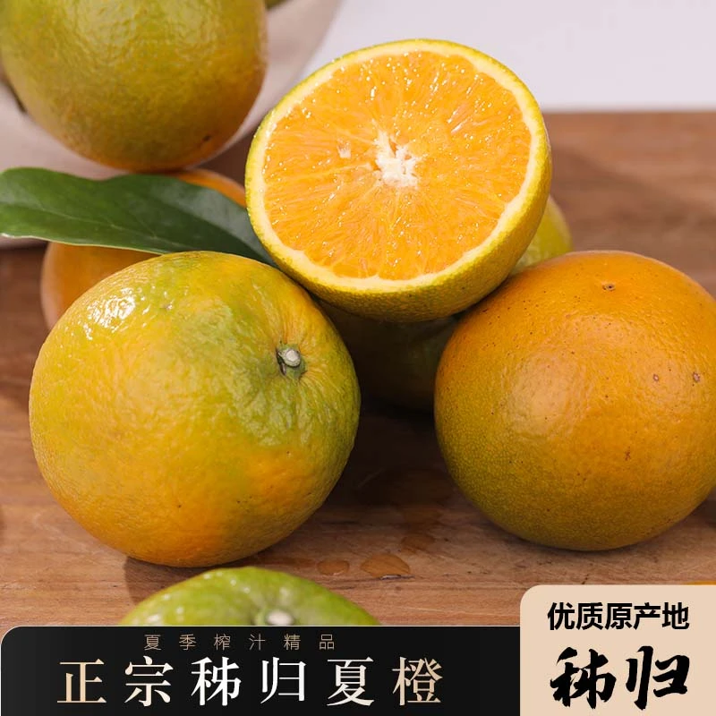 秭归夏橙花皮果商用榨汁果偏远地区专拍