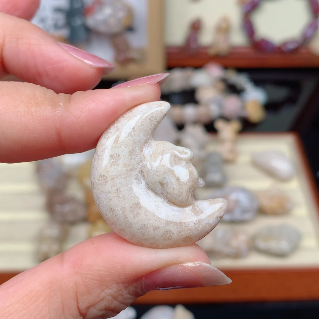 硅化玉珊瑚玉未镶嵌