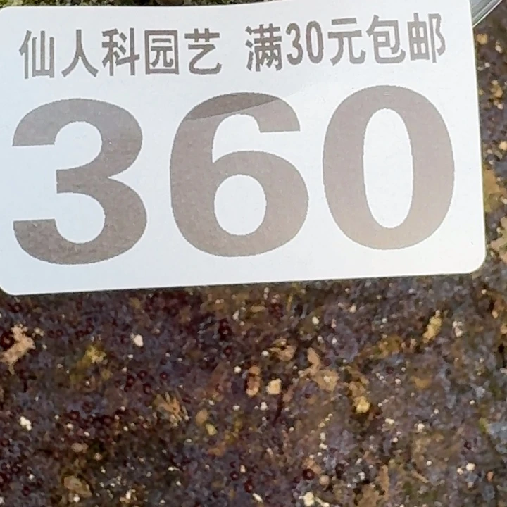 顽***夫无花朵突尤佛头360