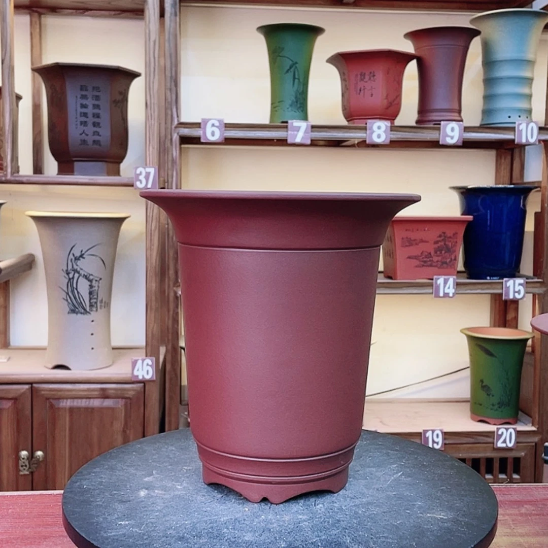 【闪购商品】紫砂花盆用****7兰花4569853688856698