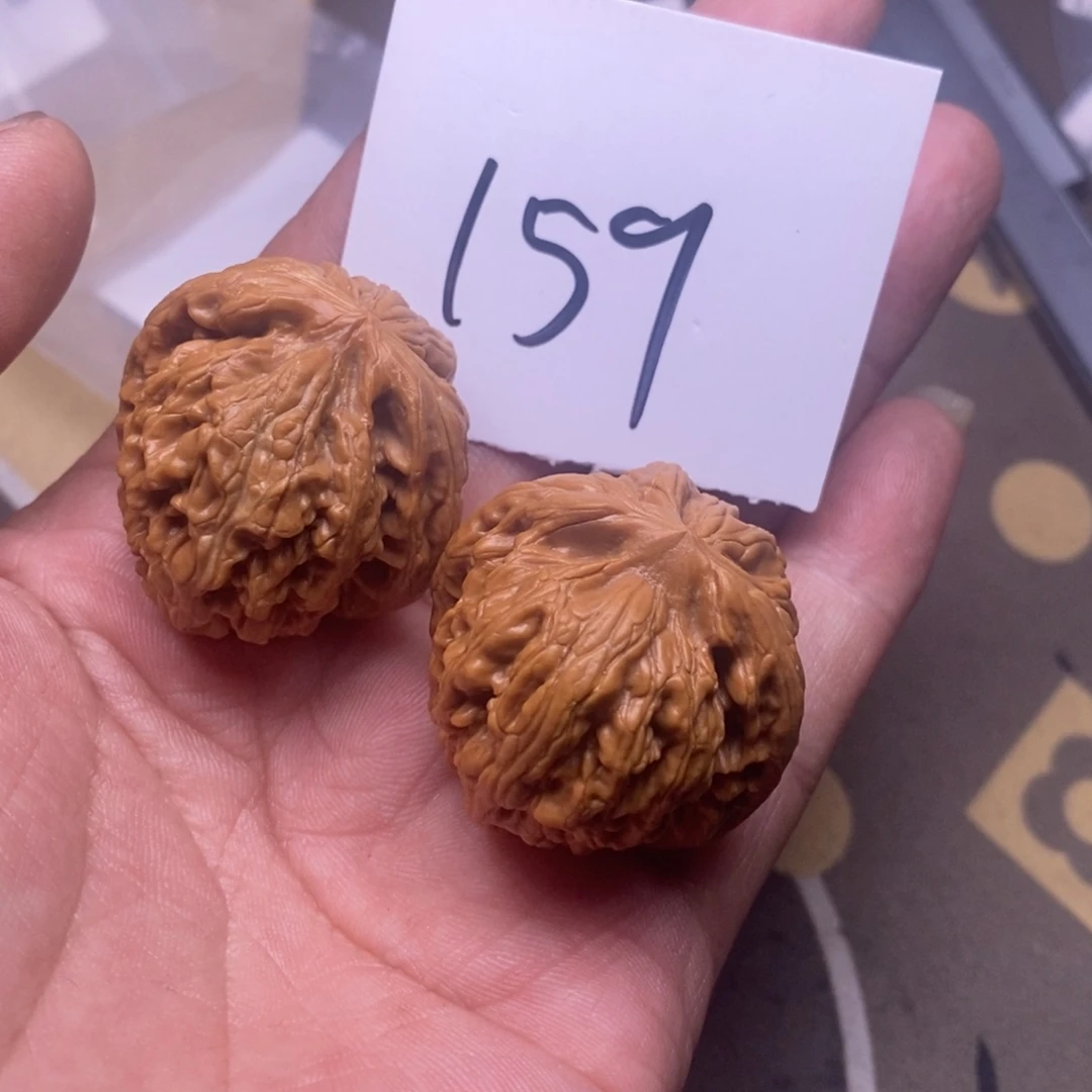 核桃红锦鲤尺寸36