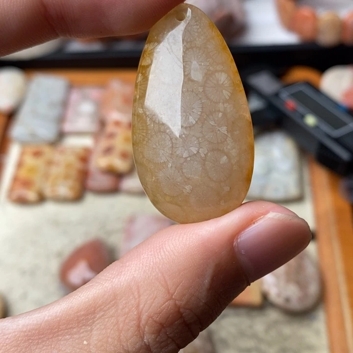 平***蛋颈饰未镶嵌硅化珊瑚（珊瑚玉）