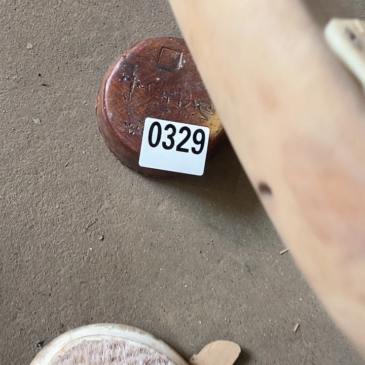 香榧木明*逸木头的小脑袋329