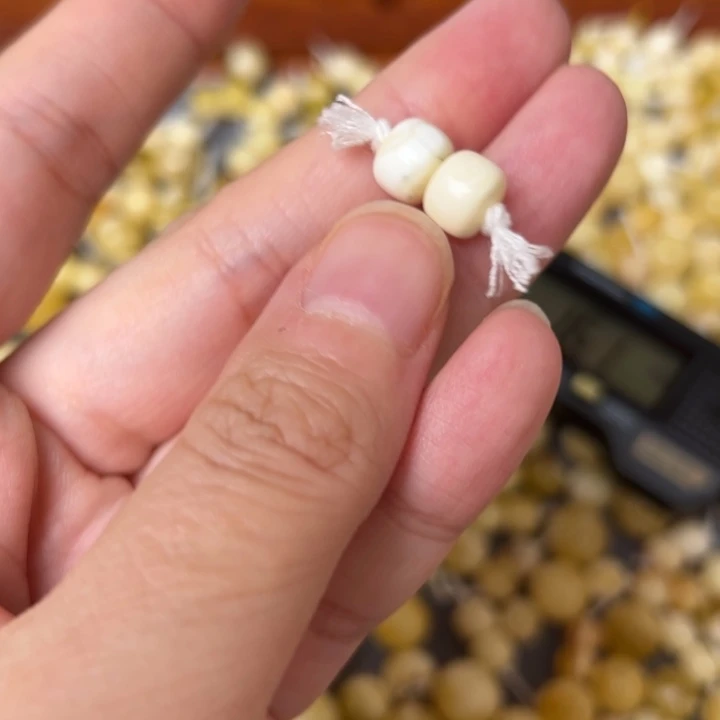 蜜蜡未镶嵌裸石8mm一对