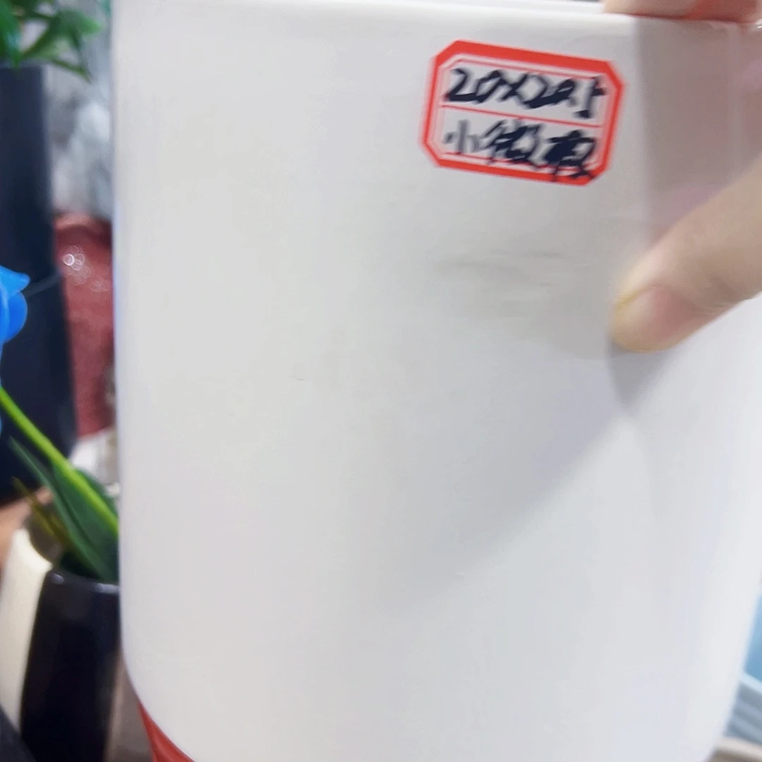 外贸尾单陶瓷花盆凑单10米包邮