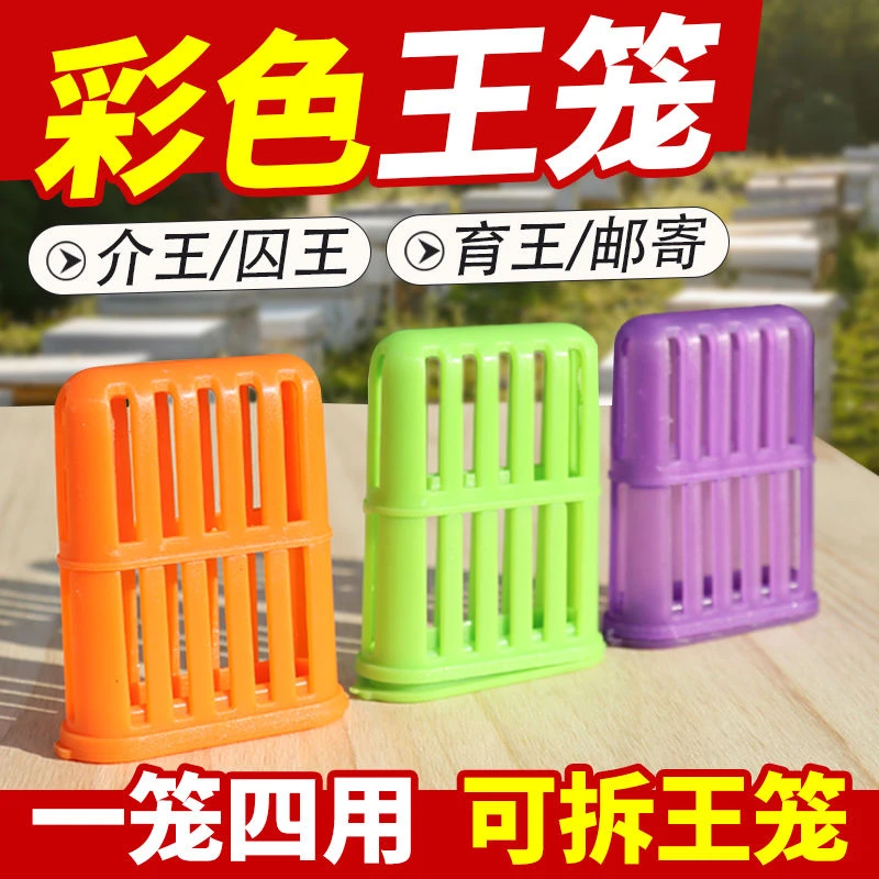 中蜂囚王笼新款多功能蜂王笼储存蜂王邮寄王笼育王储台器介王王笼