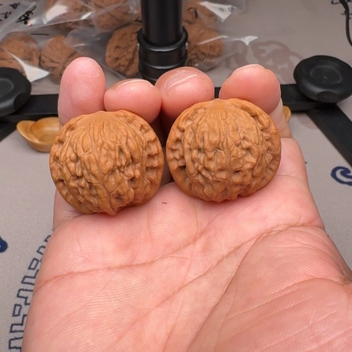 把件桃核山地野狼34+尺9