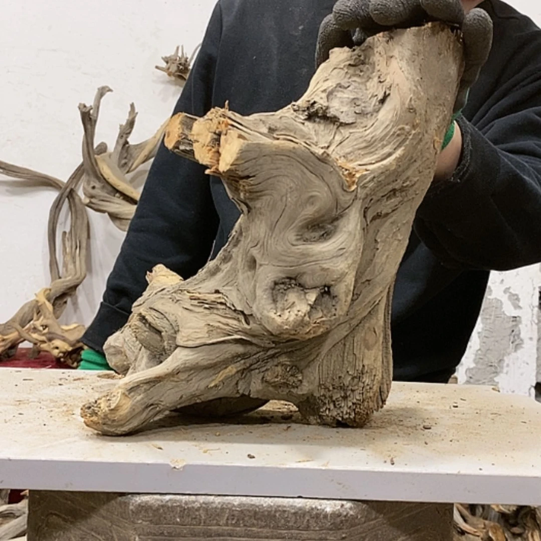 【闪购商品】柏木展****）我们都是好孩子