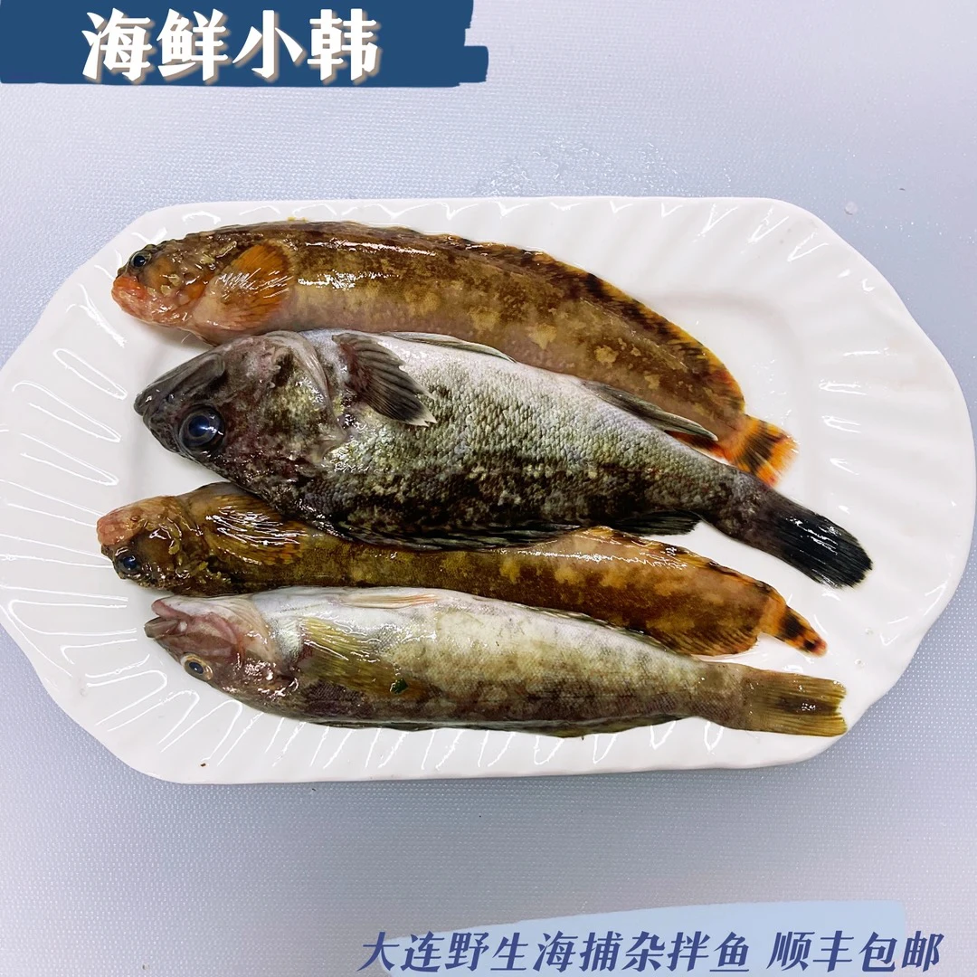 大连野生杂拌鱼 4斤 顺丰包邮