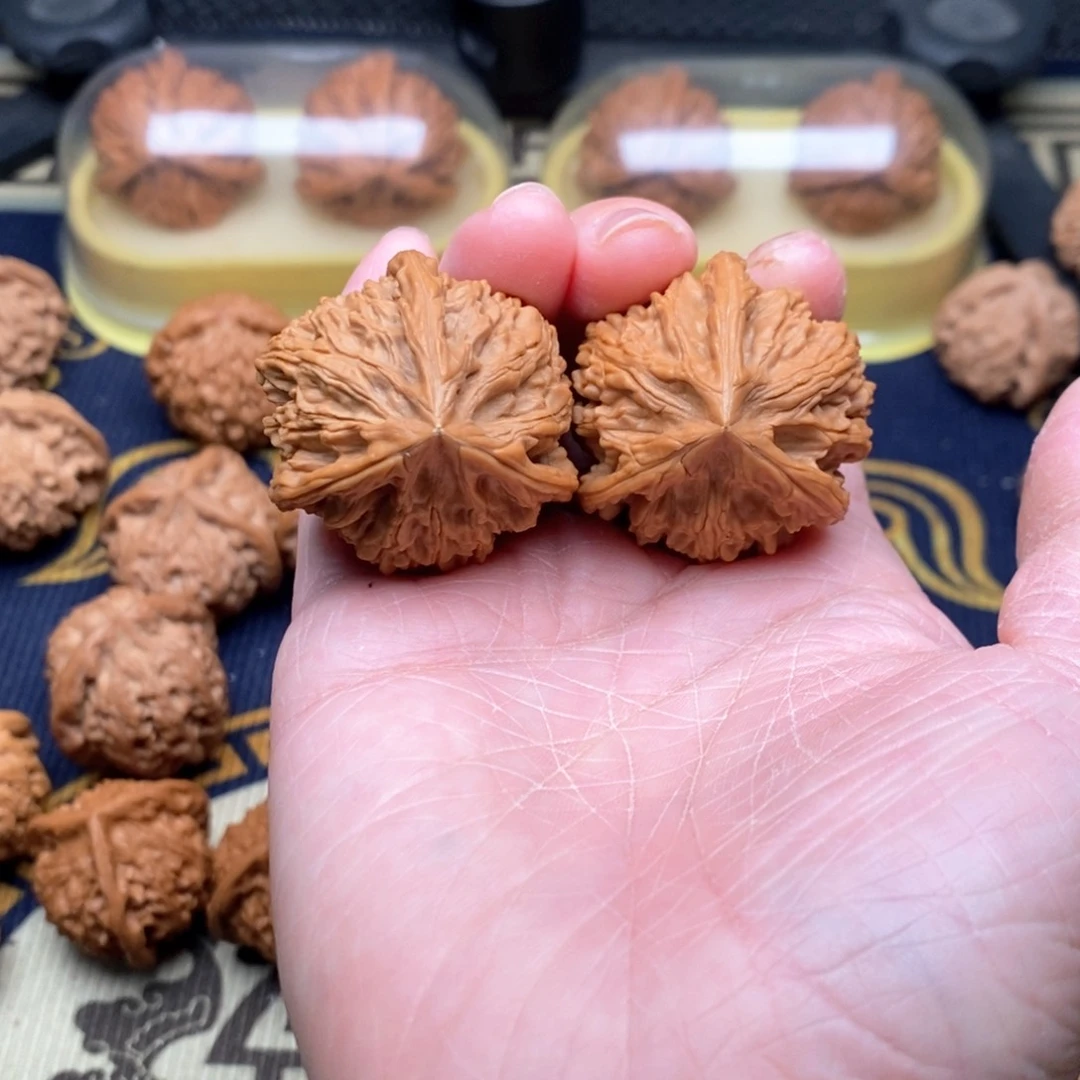 手串/手链橄榄核文山37