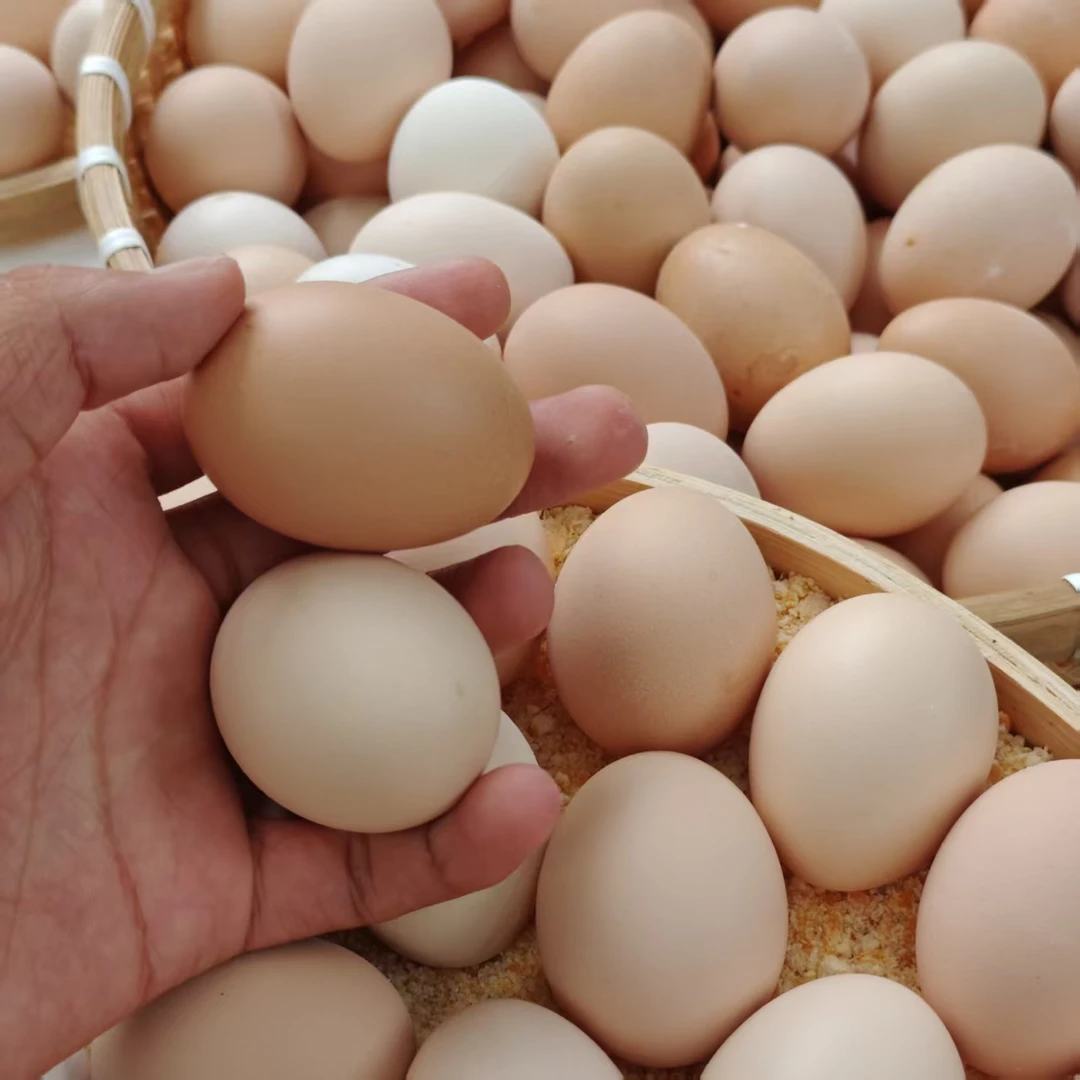云南散养土鸡蛋30枚