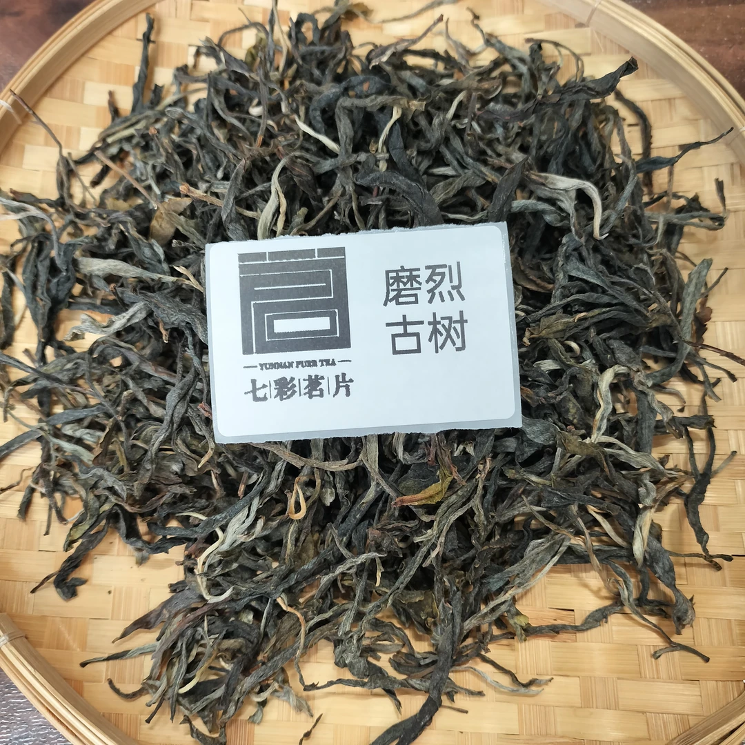 2024年磨烈古树  普洱茶  生茶
