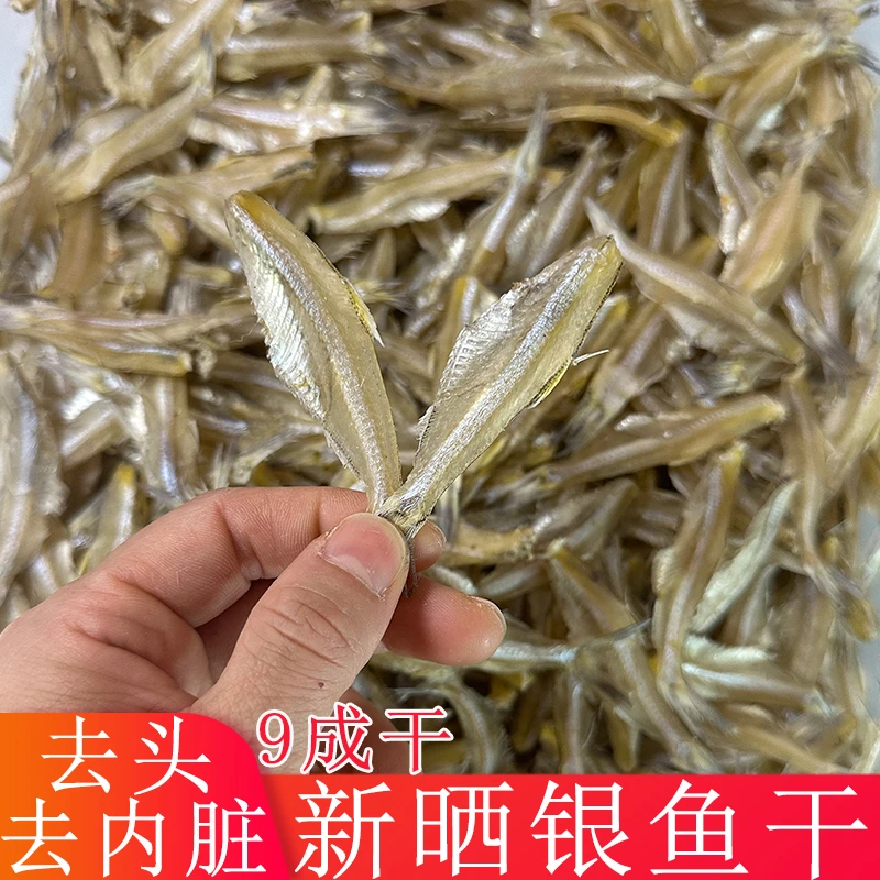 新晒银鱼干 小鱼干海燕鱼无头公鱼干 小咸鱼干北海海鲜干货