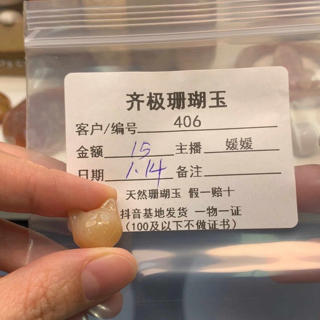 硅化珊瑚（珊瑚玉）颈饰未镶嵌小*.