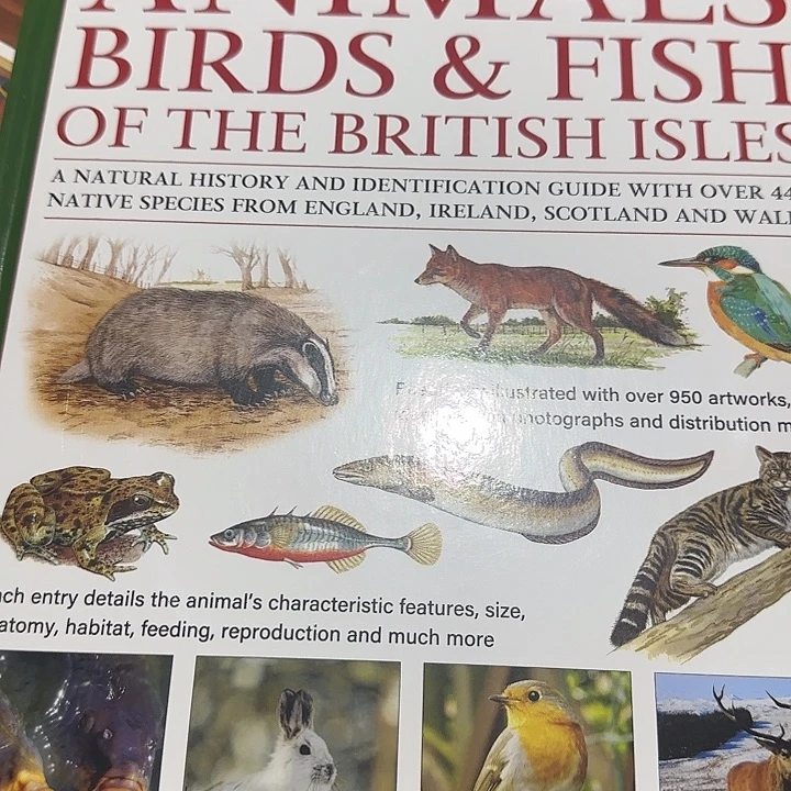 超厚原版精装鸟虫鱼