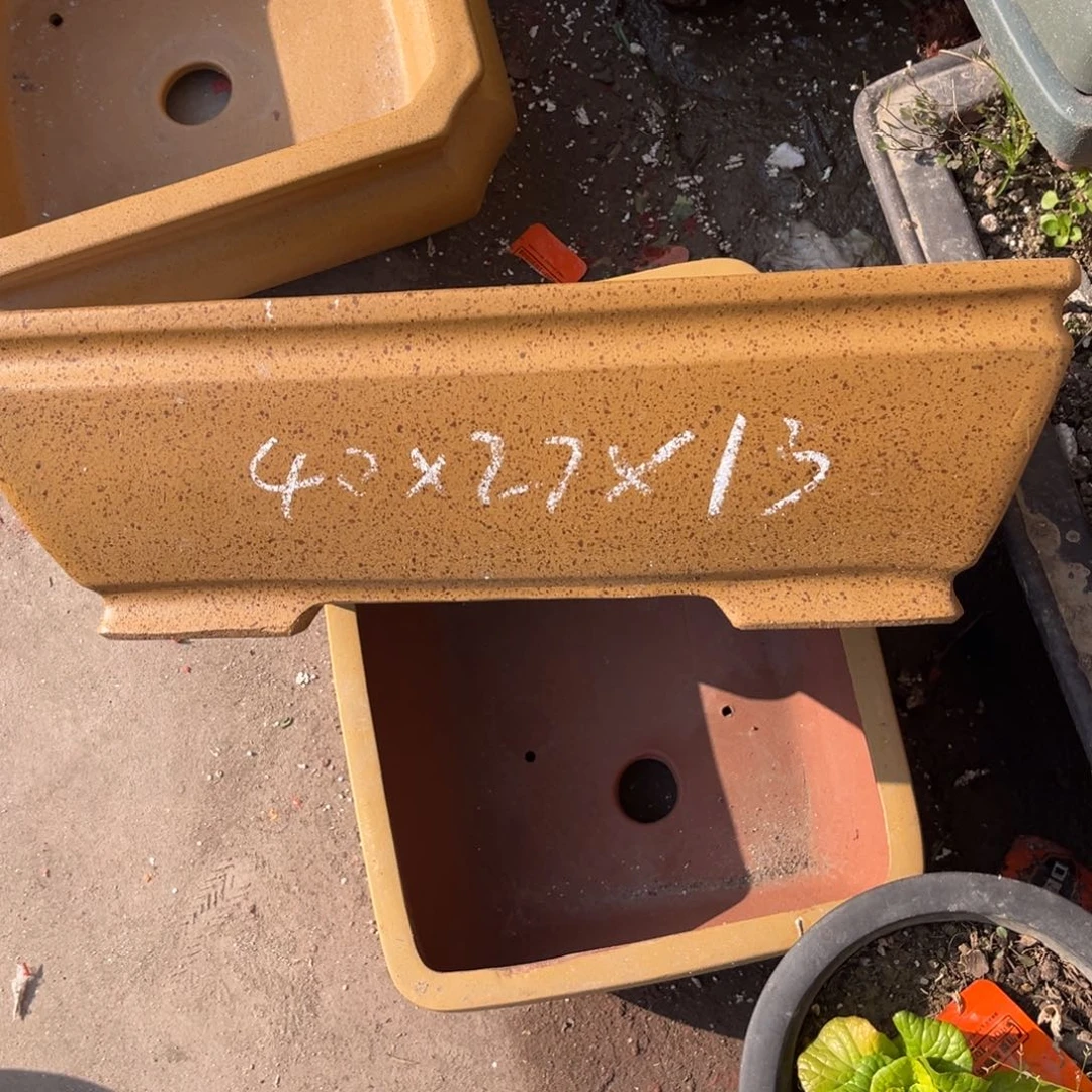 紫砂花盆盆景艺术