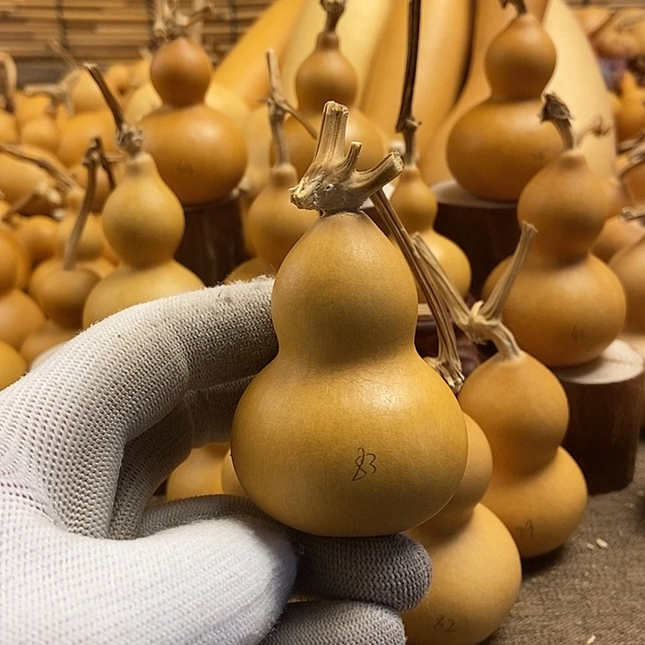 文玩葫芦 完美主义者 慎拍83