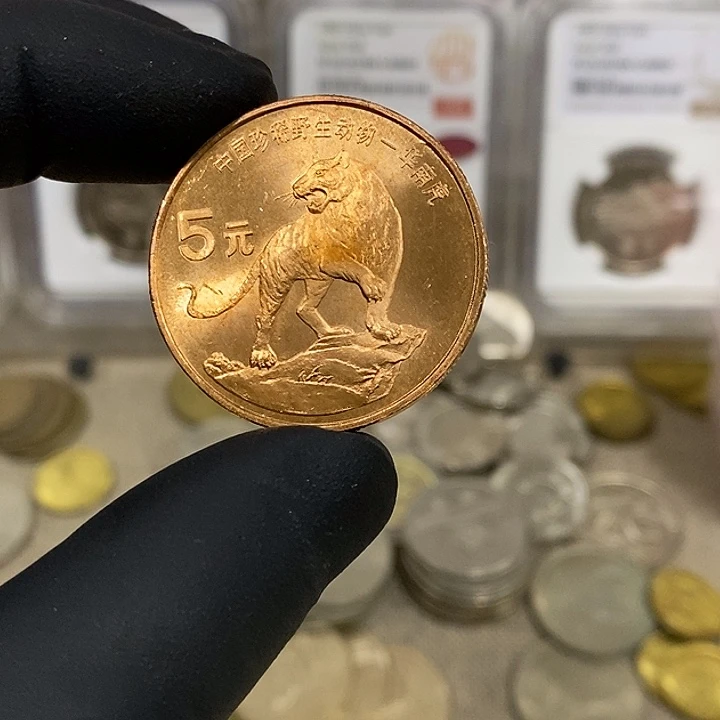 铜摄****者如图，如图，如图