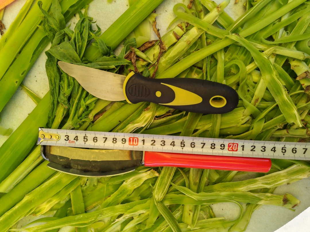 夹钢纯手工打磨贡菜削皮大刀+（超薄胶柄鱼头开条刀）到手2件