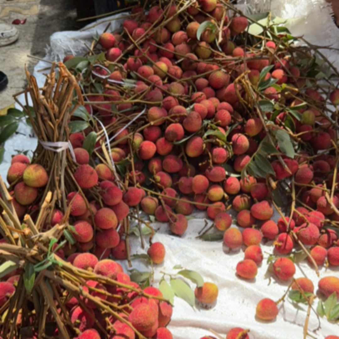 农村赶集新鲜荔枝