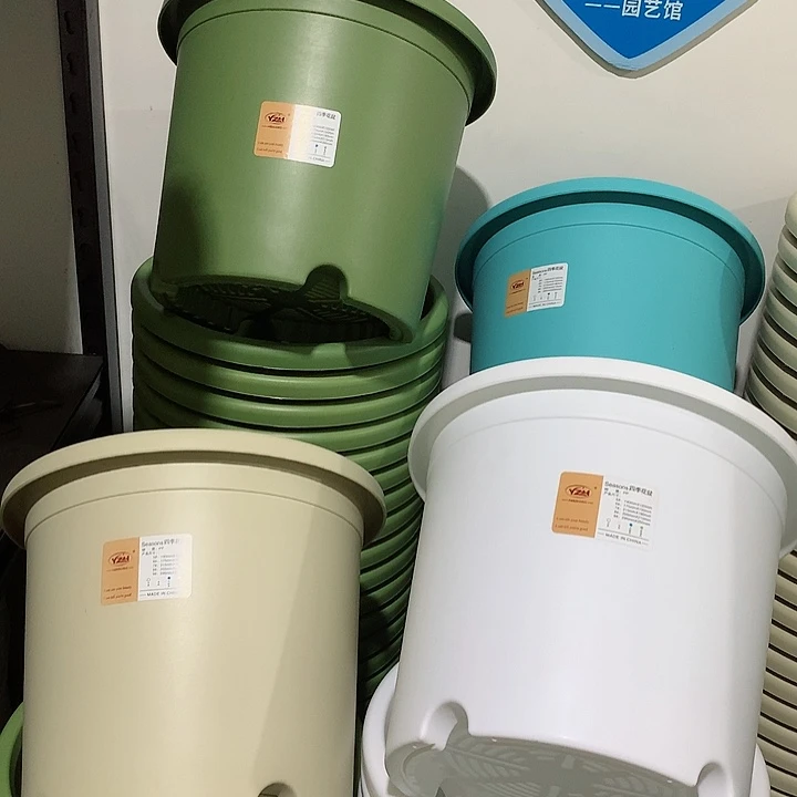 四季口29混色6个无托