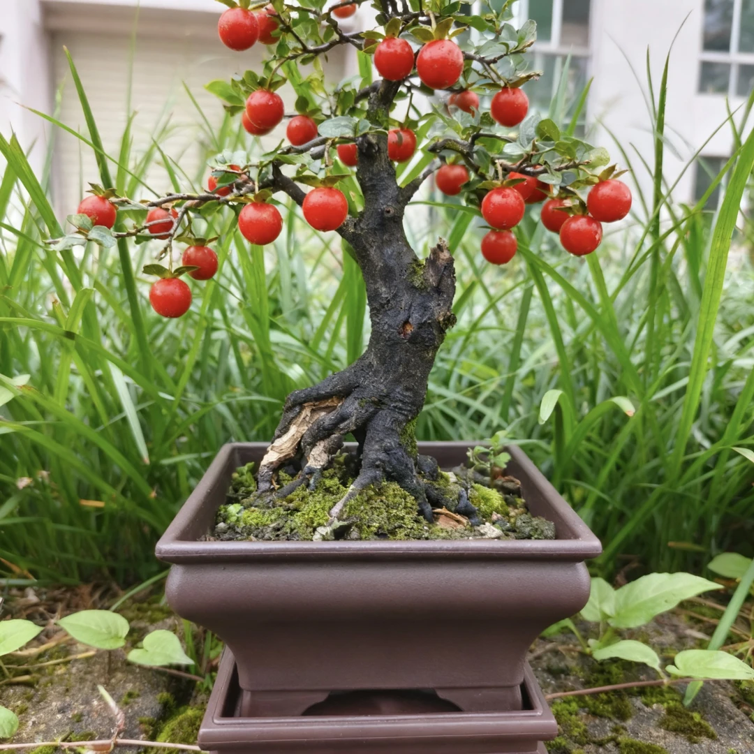 树脂四方花盆加厚中号小号多肉绿植盆景花盆花盆清仓捡漏大号