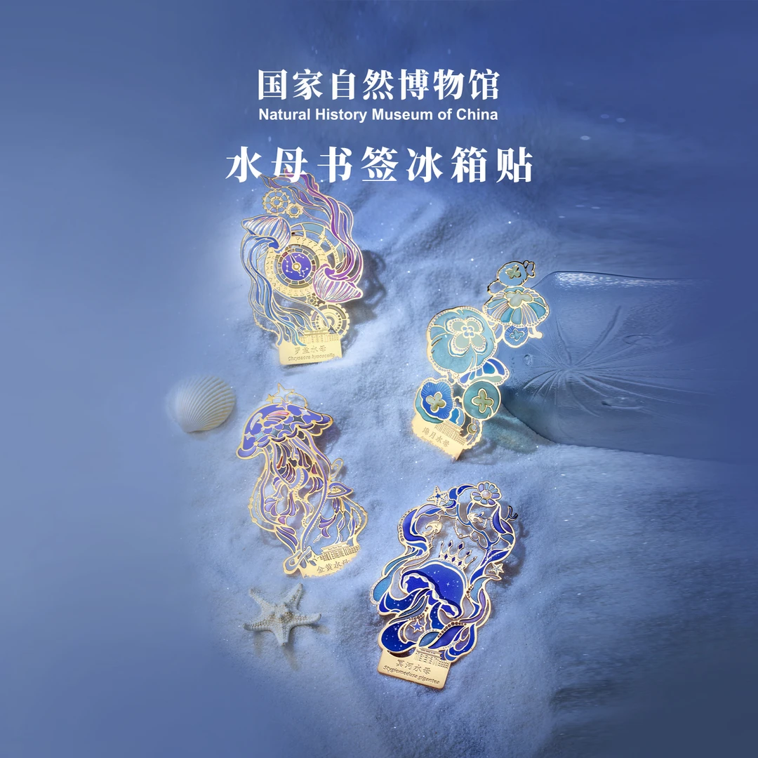 国家自然博物馆水母书签冰箱贴精致送学生儿童伴手礼好物北京文创
