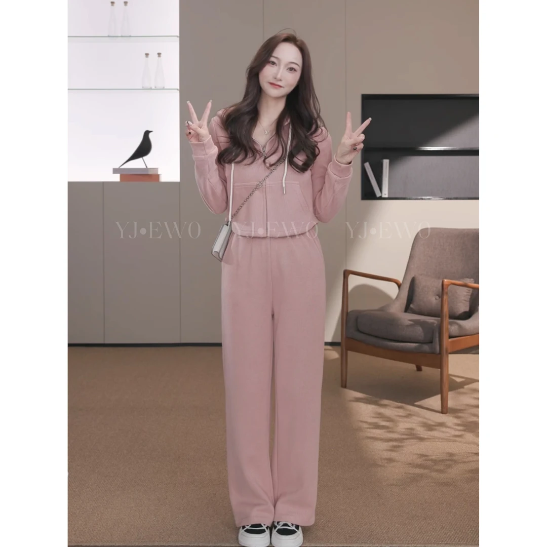 （现货）秋季新款显瘦宽松阔腿休闲上衣+裤子两件套-2865