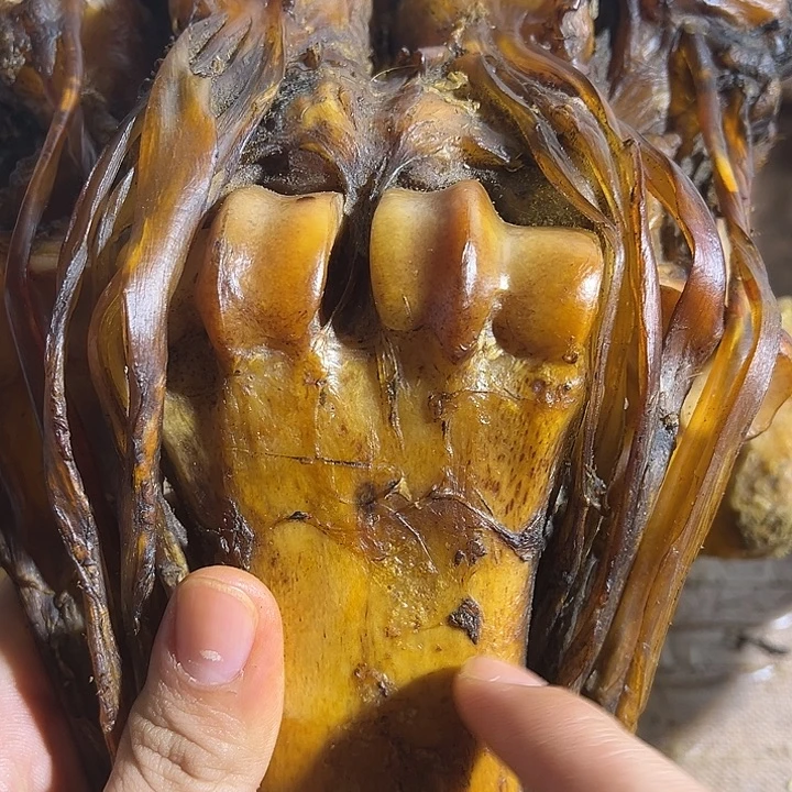 yyhu整套大的带筋一半