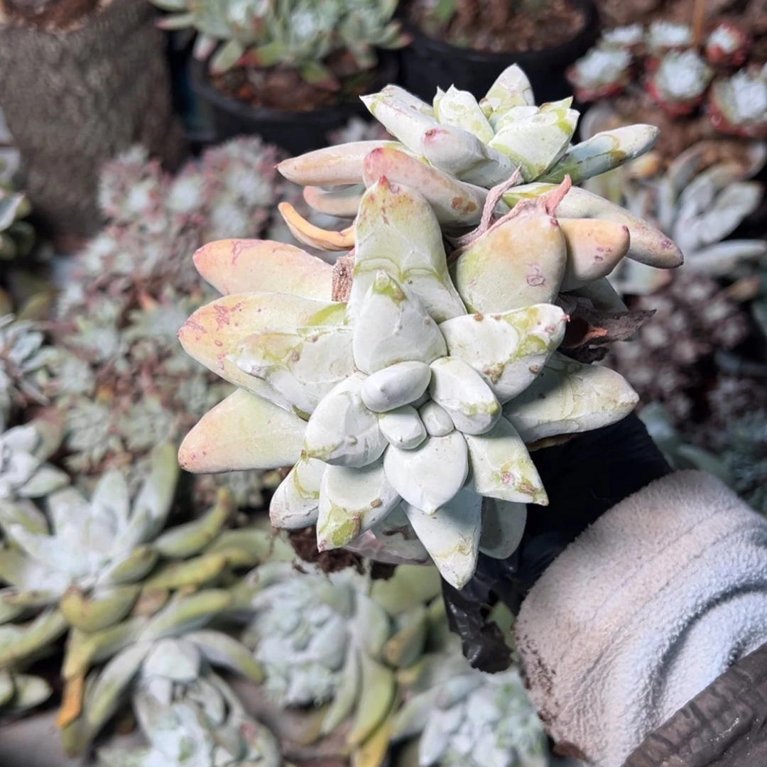 021哈哈哈哈哈哈哈哈