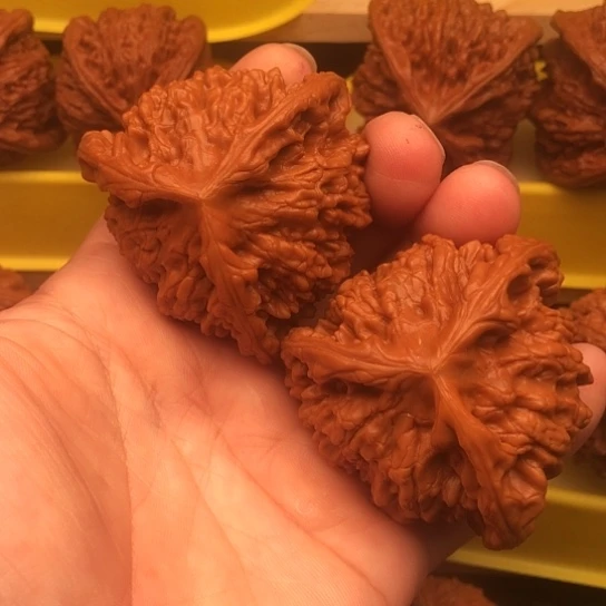 保***情核桃和他的核桃核桃核桃