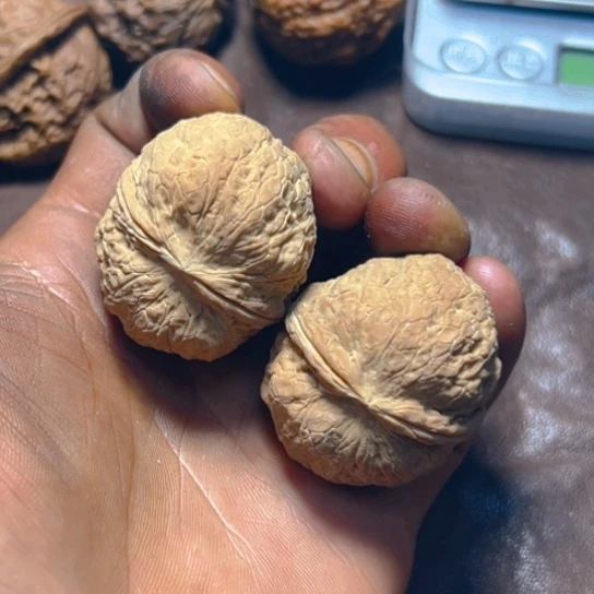 把件文玩核桃卡40腊肉元宝10号