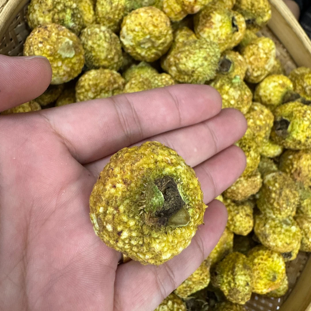 贵州核心产区冻干刺梨 高海拔生+态 酸甜回甘 -郑董源头收好茶