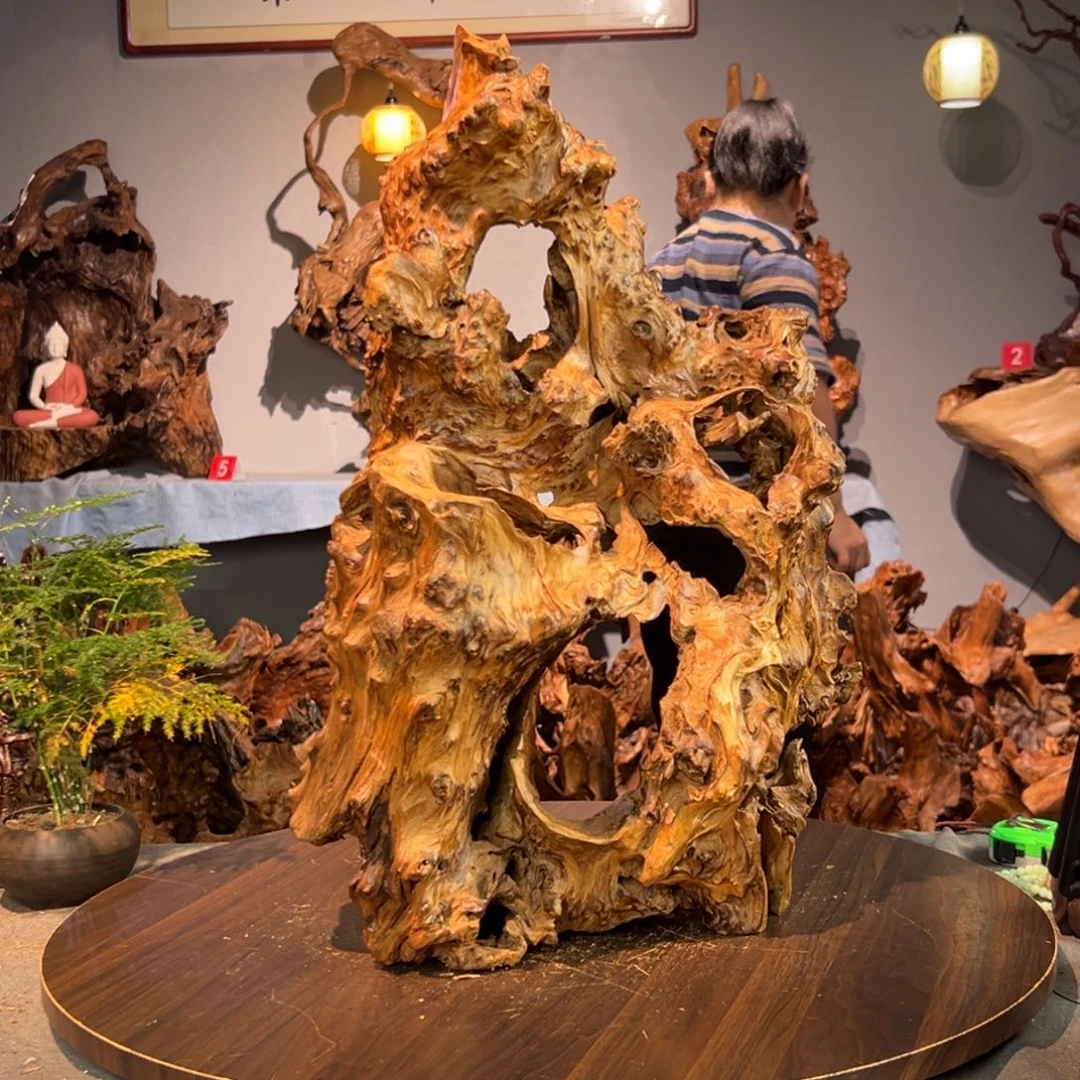 谢***勇香杉木045aaaaaaaaaa