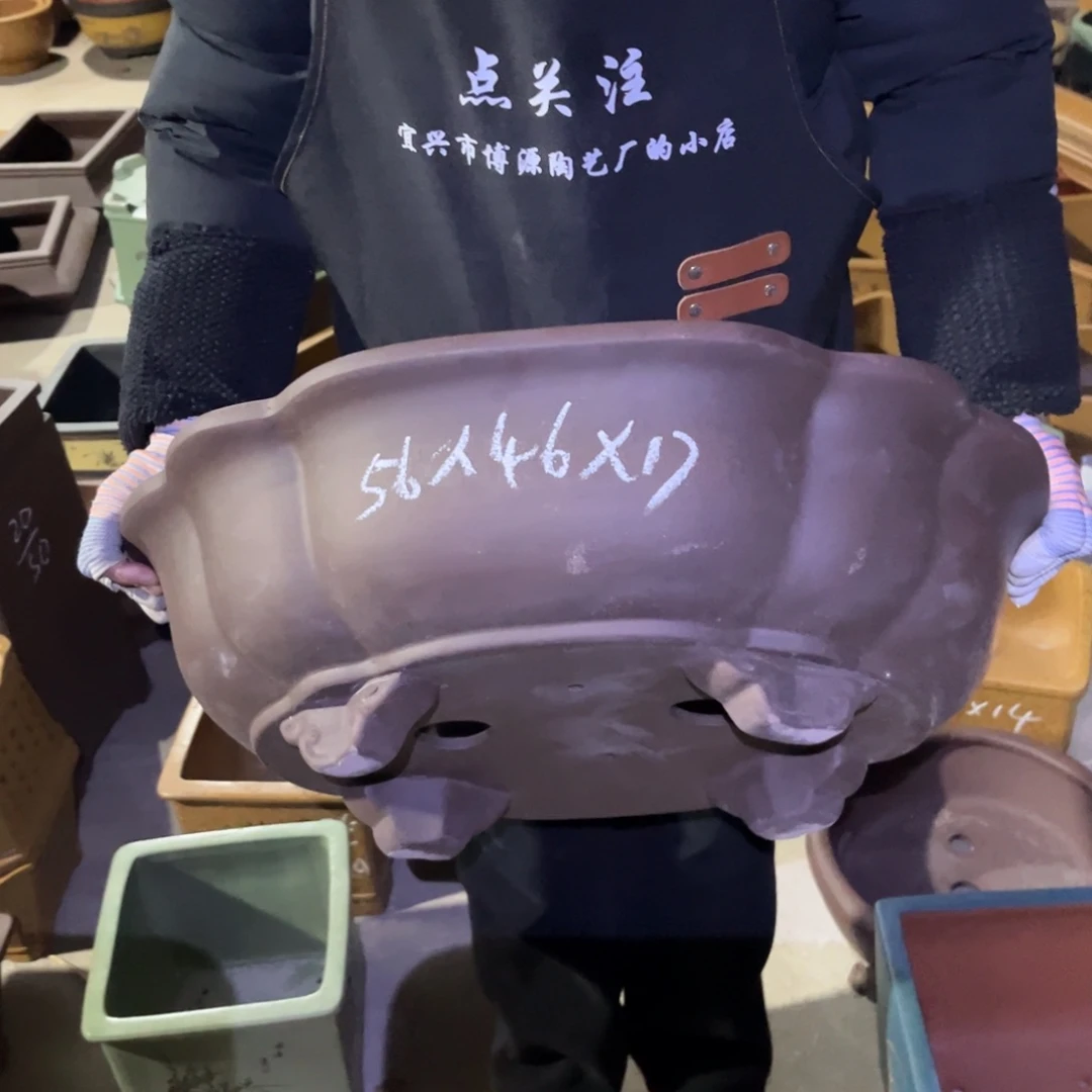 紫砂花盆盆景艺术